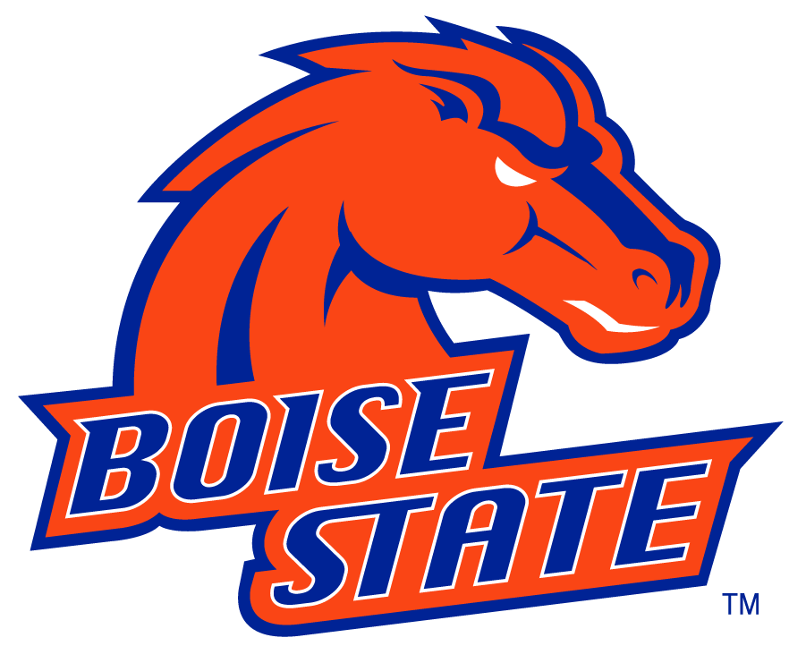 Boise State Broncos 2002-2012 Alternate Logo v4 diy DTF decal sticker